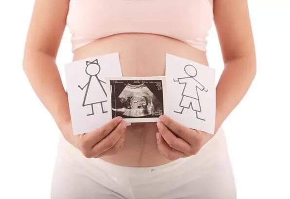 Kontrolümüzde bebeğin cinsiyetini gözlemlemek için ultrason kullandık. Bir bebeğin cinsiyeti, gebe kaldığı andan itibaren genler tarafından belirlenir, ancak ultrasonla belirlenebilmesi için belirli bir büyüklüğe ulaşması ger