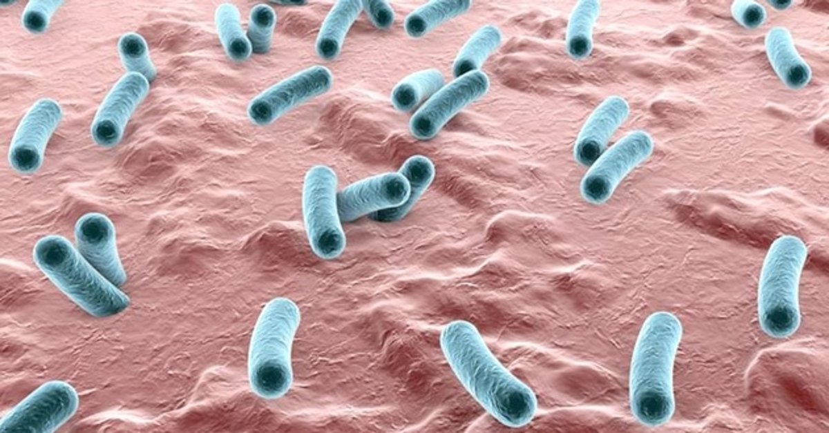 Dizanteri Nedir? Dizanteri Kendiliğinden Geçer Mi?