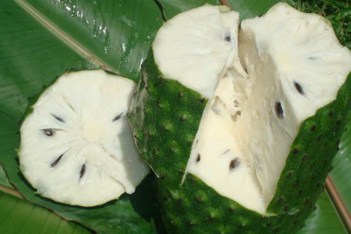 Guanabana'nın yetiştirildiği ülkelerde her türlü şerbet ve krema yapımında yaygın olarak kullanılmaktadır. Dondurmaya, püreye veya lezzetli lezzetli meyve suyuna ekleyin. Endonezya'da olgunlaşmamış meyveler sebze olarak yenir