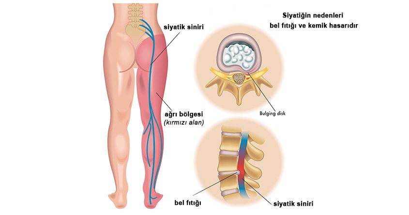 Tıp-Sağlık alanında derlenmiş toparlanmış kullanıcı dostu bilgiler sunduk.Tıp-Sağlık kategorisinde insanların doğru bilgiye ulaşması için hazırladığımız kaliteli yazıları yazdık.